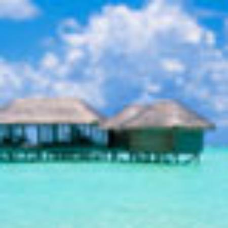 Pine Grove Jeong Sausage Stew